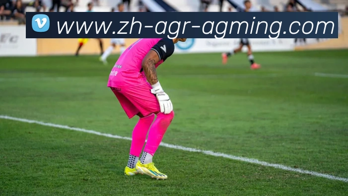 AG娱乐登录APP 高清赛事图