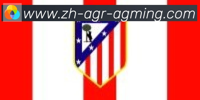 AG娱乐登录合作伙伴